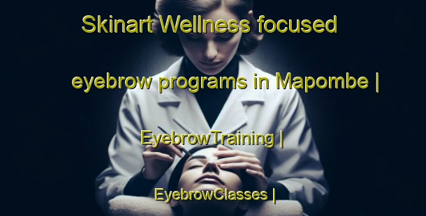 Skinart Wellness-focused eyebrow programs in Mapombe | EyebrowTraining | EyebrowClasses | SkinartTraining-the Democratic Republic of the Congo